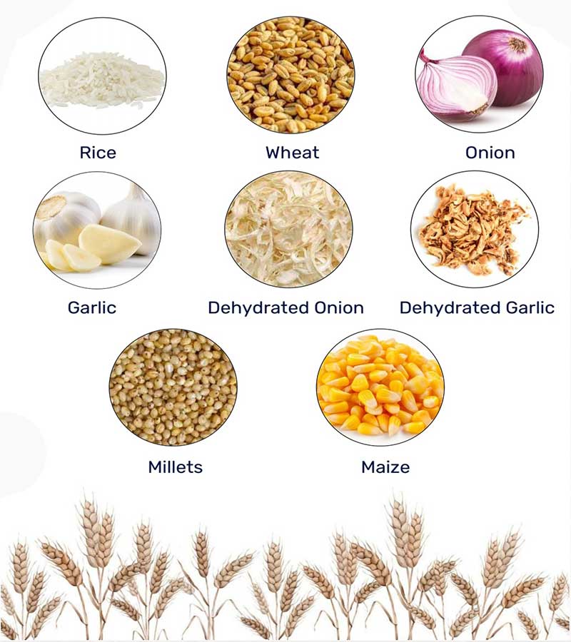 Garlic